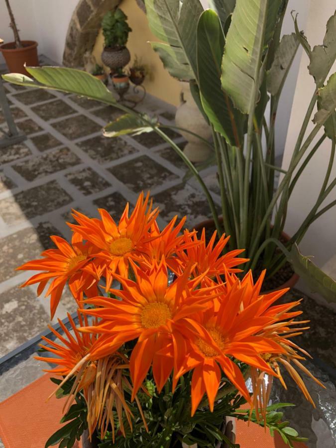 Nardò Corte La Rosa מראה חיצוני תמונה